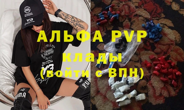 сатива Лабытнанги