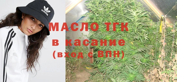 индика Лагань