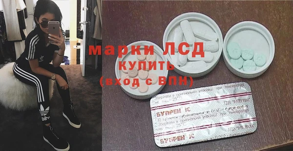 сатива Лабытнанги
