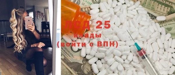 сатива Лабытнанги